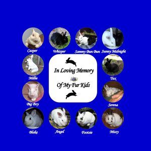 Meet your Posher, Regina